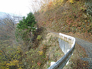 �Ő������ł�